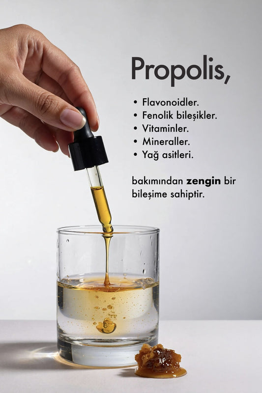 Shiffa Home Sıvı Propolis 20 ml – Propolis Ekstresi İçeren Sıvı Takviye | Şeker, Koruyucu ve Renklendirici İçermez
