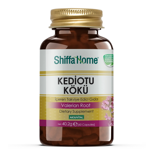 Shiffa Home Kediotu Kökü