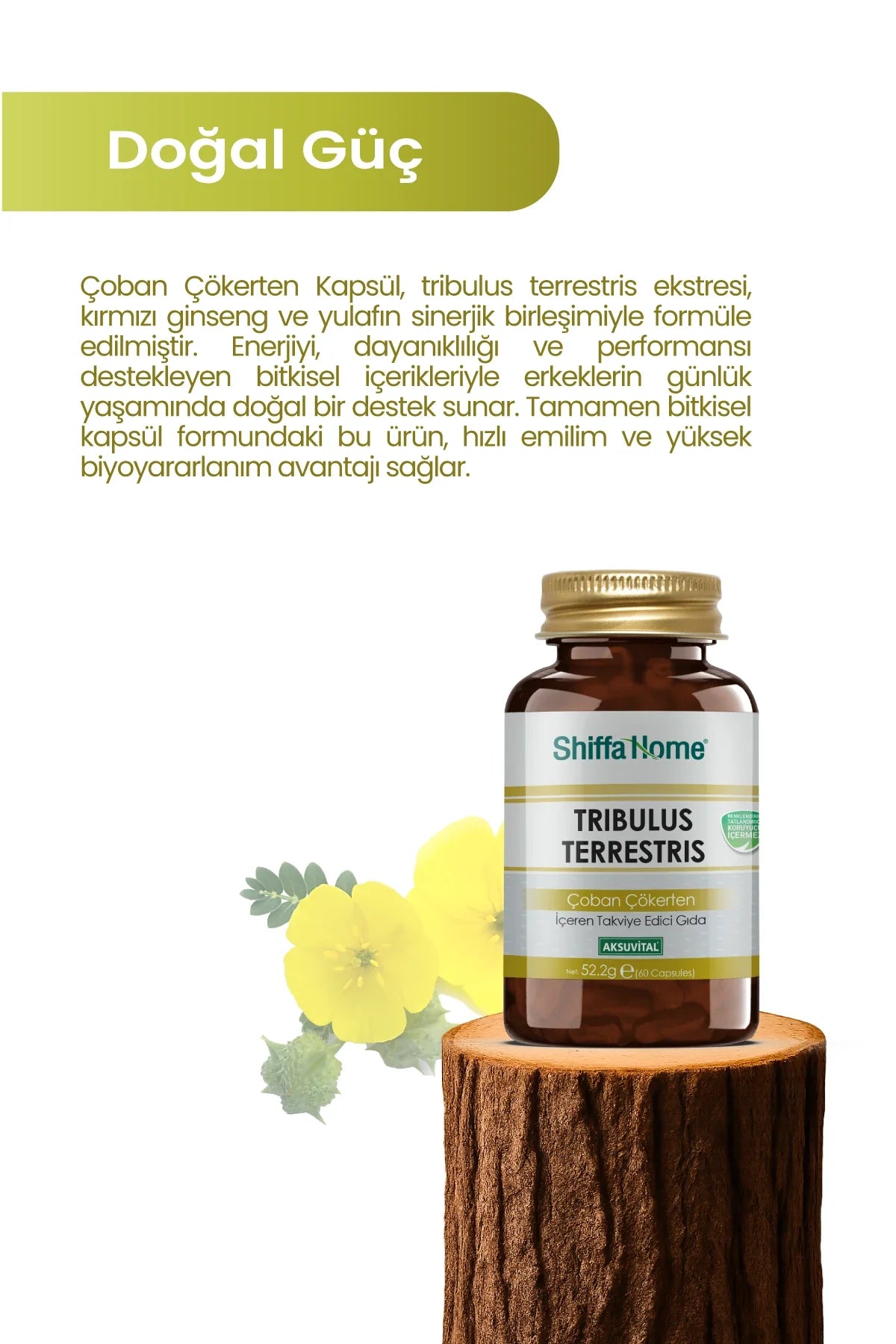 Shiffa Home Tribulus Terrestris (Çoban Çökerten) Kapsül – 60 Kapsül Bitkisel Takviye Edici Gıda 4