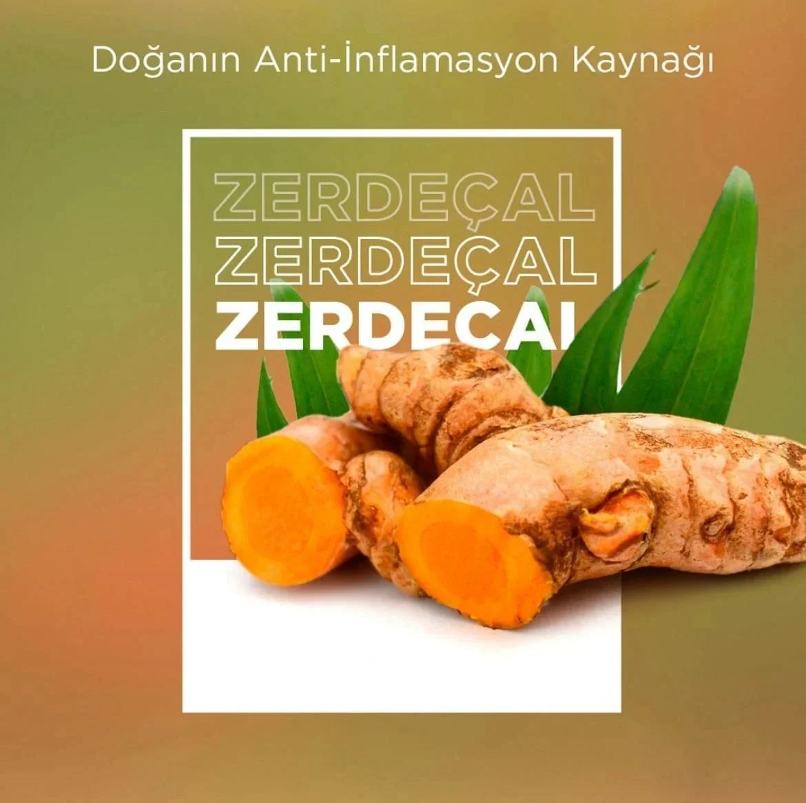 Nowlex Zerdeçal Ekxtresi Curcumin 350 Mg 6
