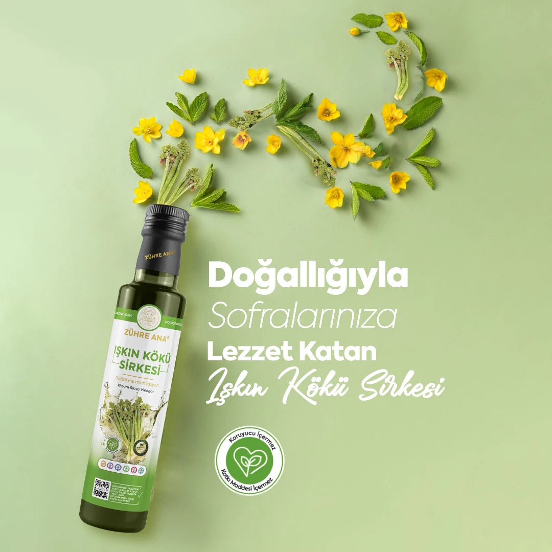 Zühre Ana Işkın Kökü Sirkesi Doğal Fermantasyon 2