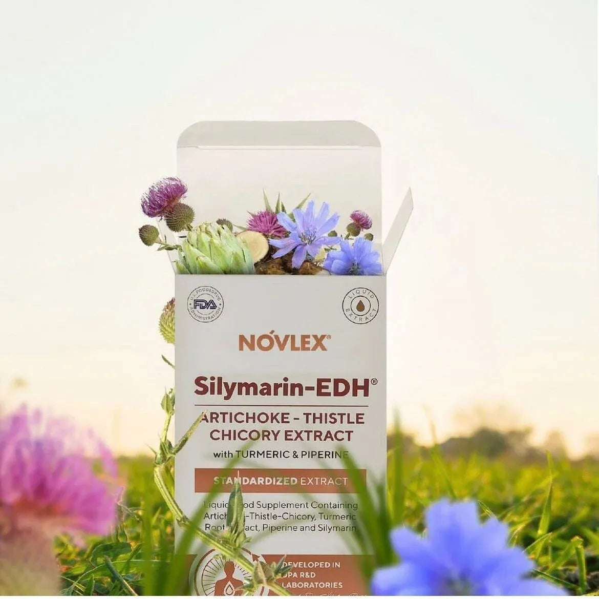 Novlex Silymarin-EDH Enginar Devedikeni Hindiba Ekstresi 4